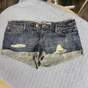 Distressed Denim Shorts